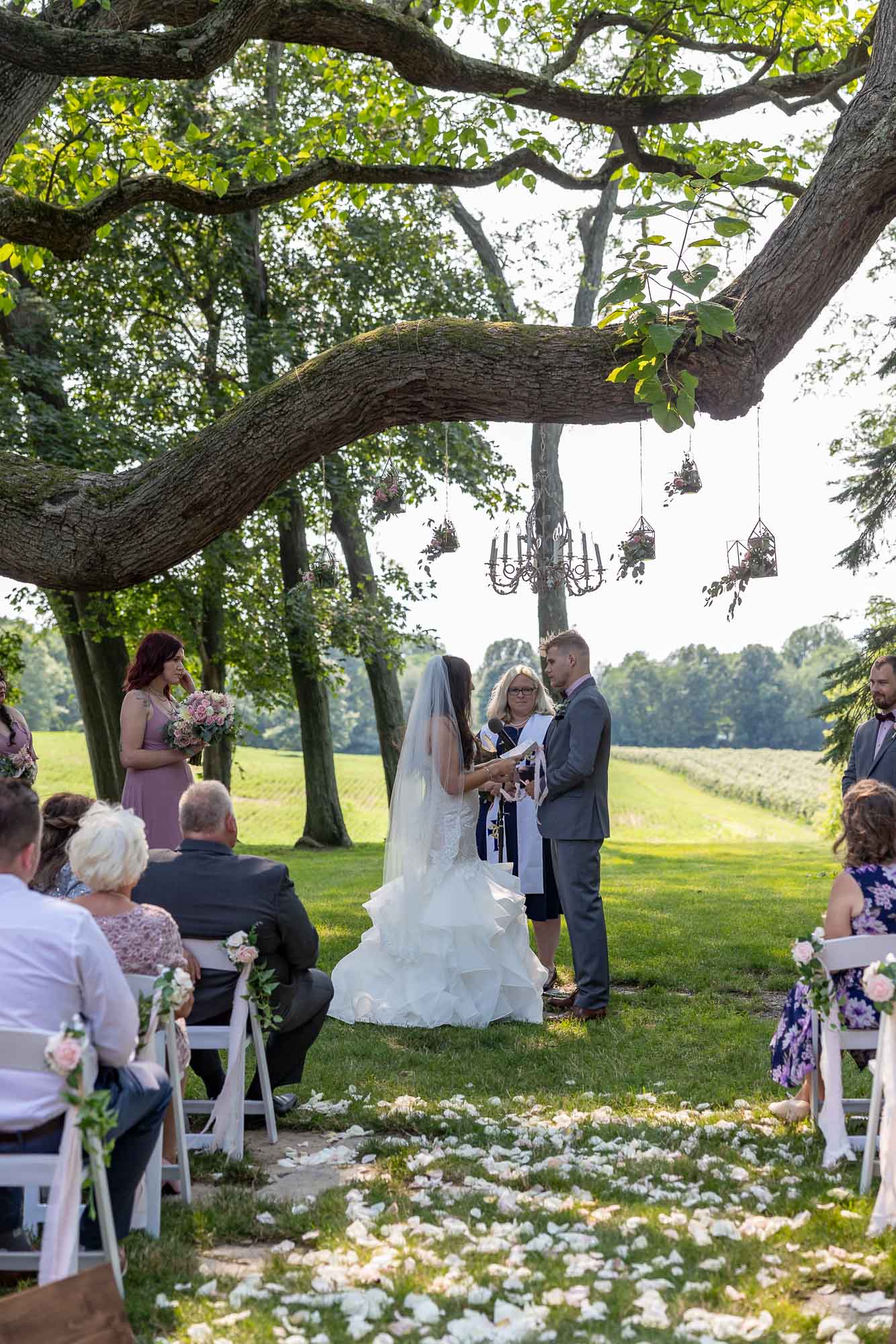Hidden Vineyard Berrien Springs Wedding Hidden Vineyard Berrien Springs Wedding
