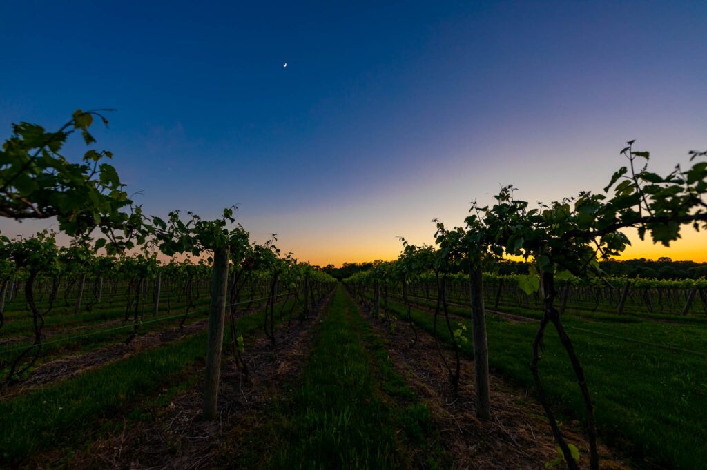 Sunset 12 corners winery