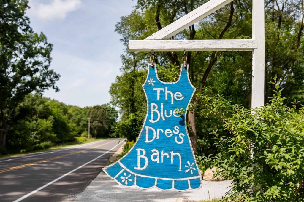 Blue Dress Barn Wedding
