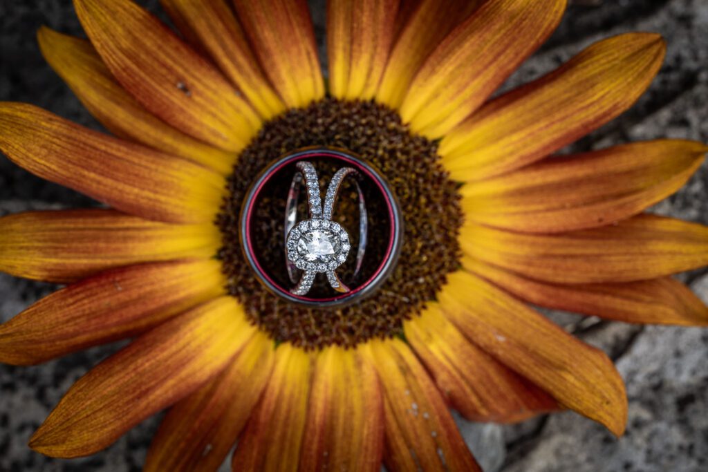 Wedding Rings on a Flower