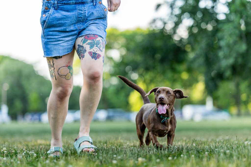 Dog Photographer in Chicago