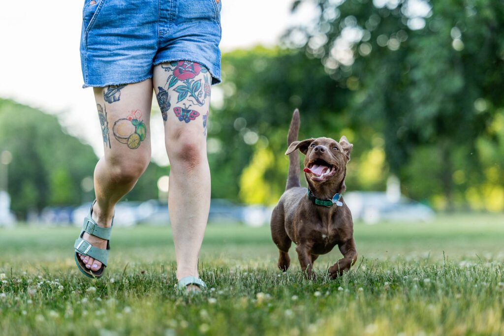 Dog Photographer in Chicago