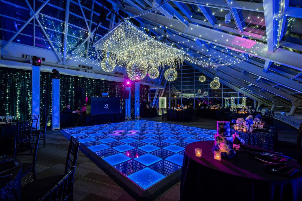 Adler Planetarium Wedding